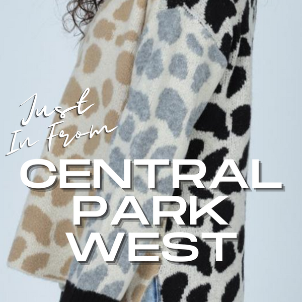 Central park west leopard sweater sale