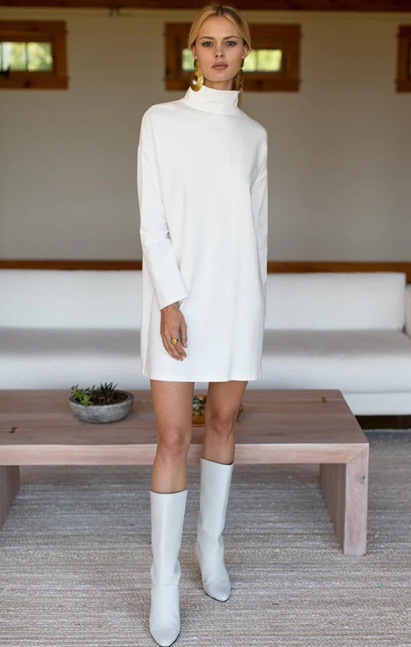 Edie Turtleneck Dress