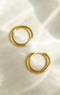 Stainless Hinged Hoop