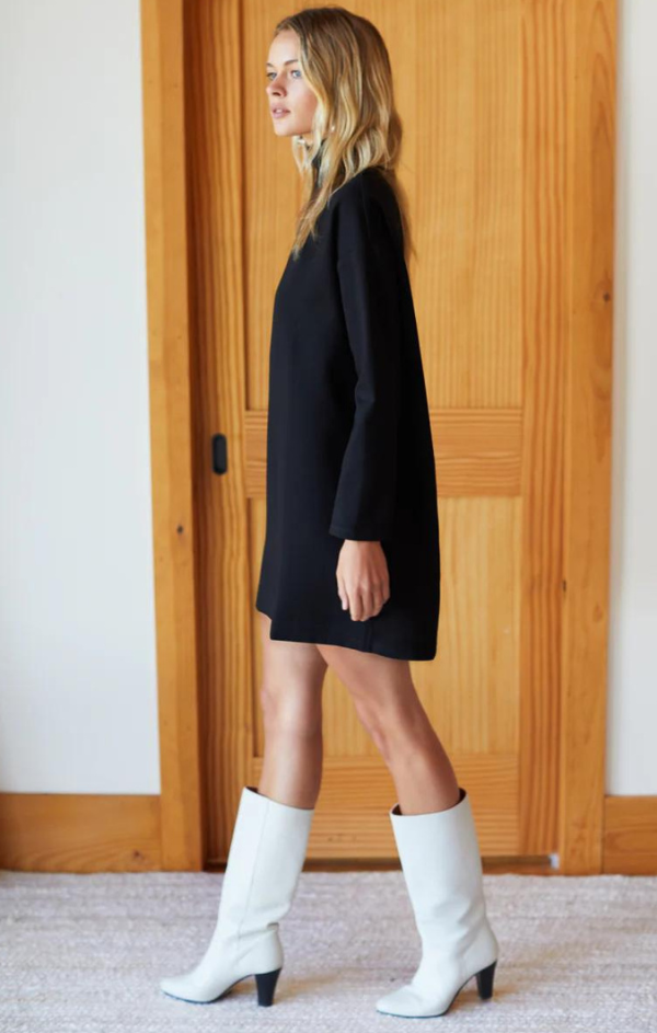 Edie Turtleneck Dress