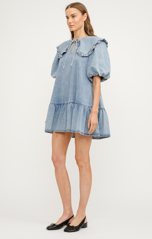 Cecilie Puff Sleeve Mini Dress