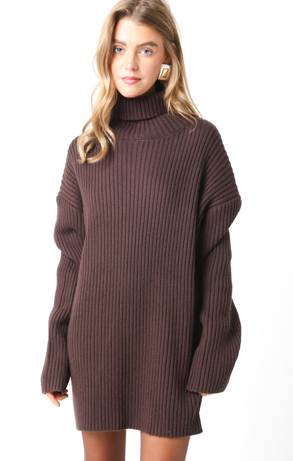 Coffee Bean Turtleneck Sweater Tunic