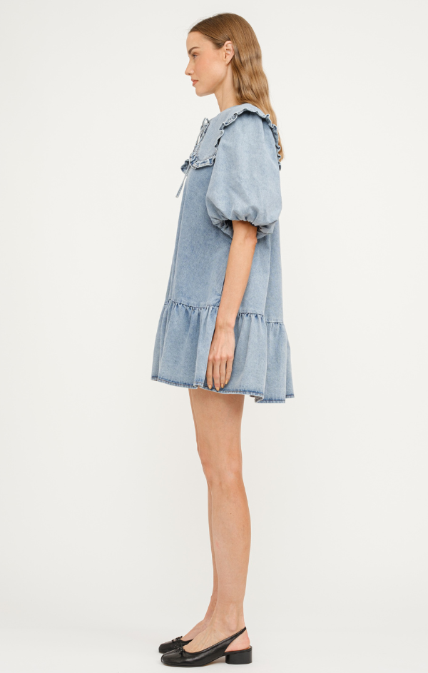 Cecilie Puff Sleeve Mini Dress