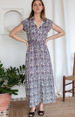 printed emerson fry maxi dress