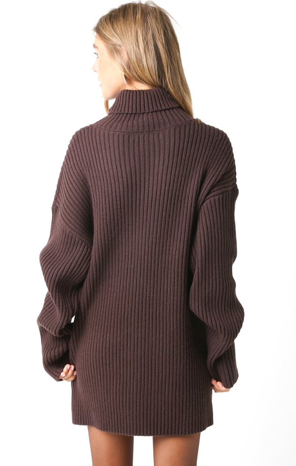 Coffee Bean Turtleneck Sweater Tunic