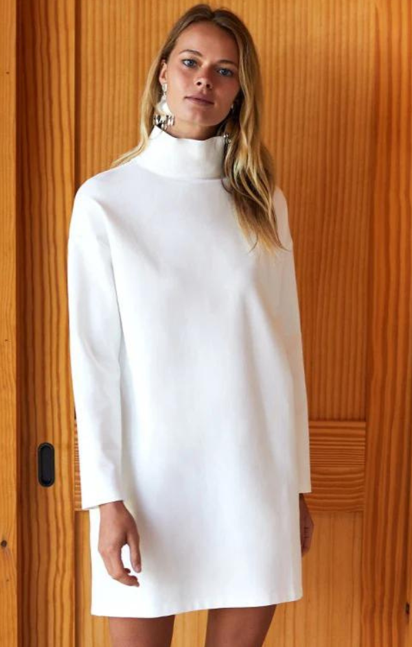 Edie Turtleneck Dress