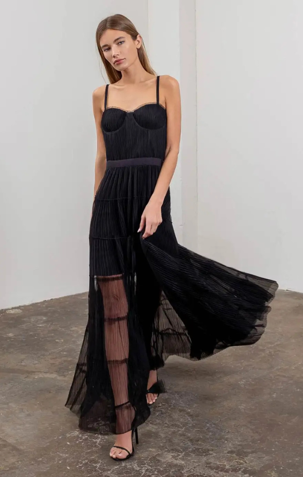 Pleated Tulle Semi Sheer Dress