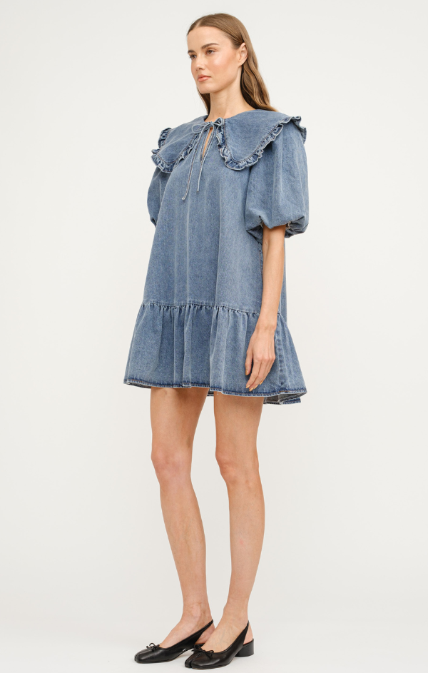 Cecilie Puff Sleeve Mini Dress