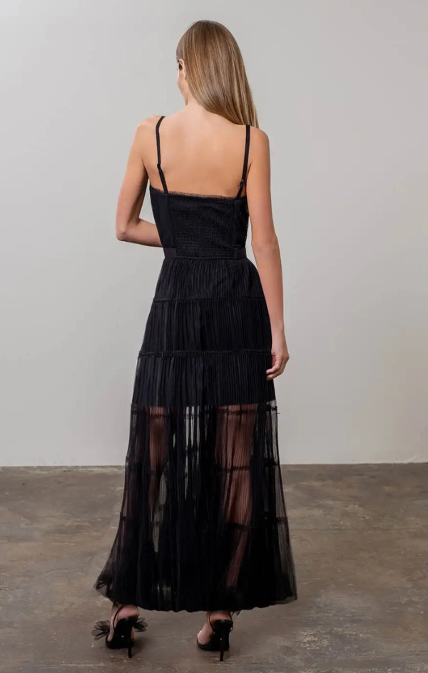 Pleated Tulle Semi Sheer Dress