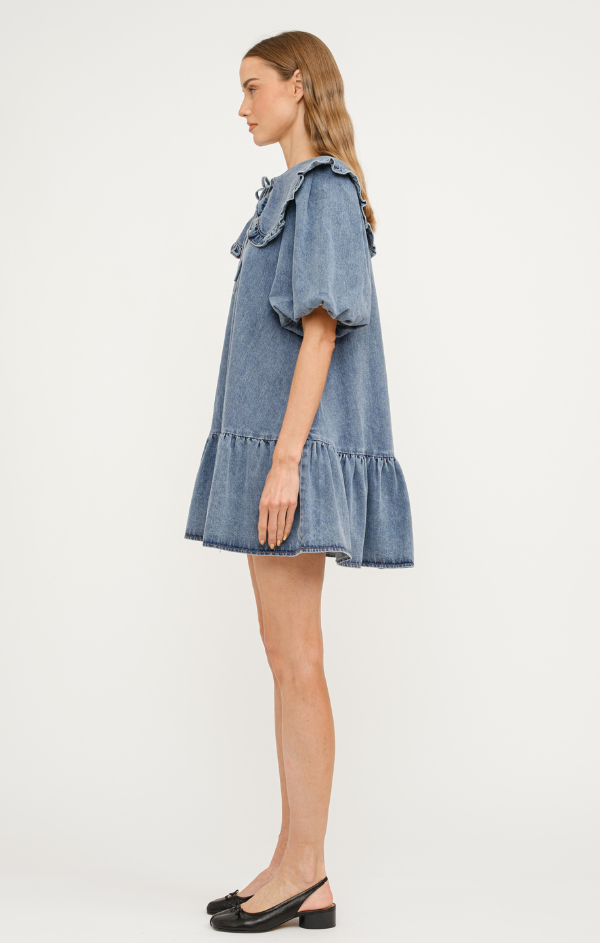 Cecilie Puff Sleeve Mini Dress